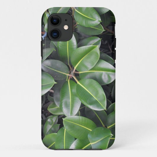 Gummibaumnähe Case-Mate iPhone Hülle (Rückseite)