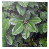 Gummibaumnähe Fliese (Vorderseite)