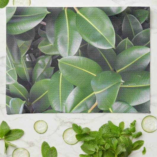 Gummibaumnähe Handtuch (Gefaltet)