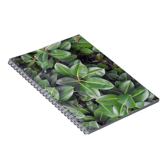 Gummibaumnähe Notizblock (Rechte Seite)