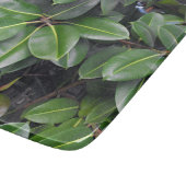 Gummibaumnähe Schneidebrett (Ecke)