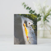 Gummihuhn beim Klettern Postkarte (Stehend Vorderseite)