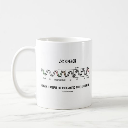 Gummilack Operon klassisches Beispiel-Prokaryotic Kaffeetasse (Links)