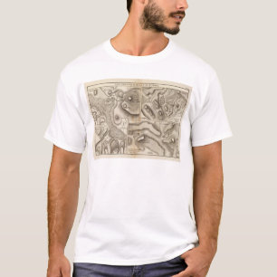 Gummilacke volcaniques T-Shirt
