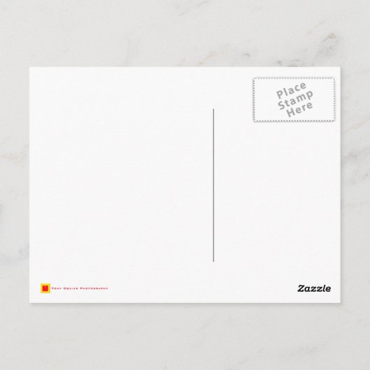 Gummy Candy Postcard Postkarte (Rückseite)