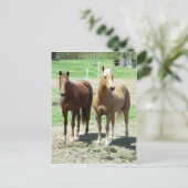 Gumpy and Limited Postkarte (Stehend Vorderseite)