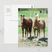Gumpy and Limited Postkarte (Vorne/Hinten)