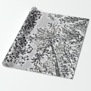 Gumtree Packpapier