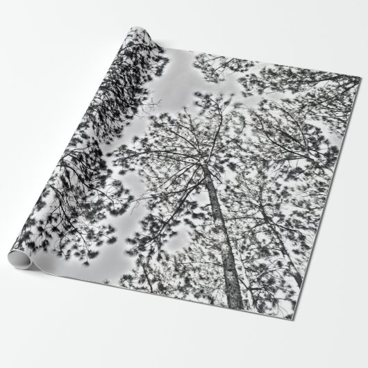 Gumtree Packpapier (Ungerollt)