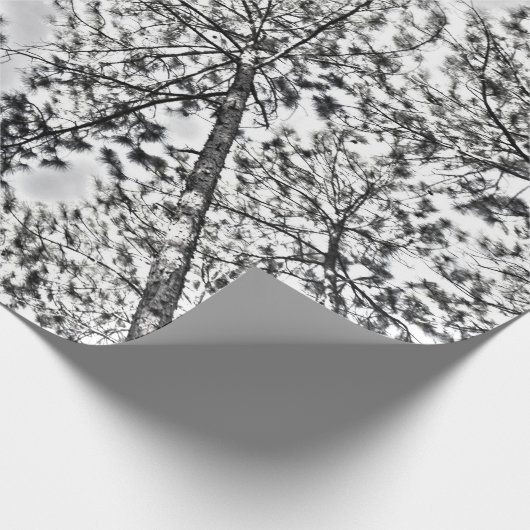 Gumtree Packpapier (Ecke)