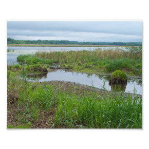 Gun Club Lake and Marshes Fotodruck