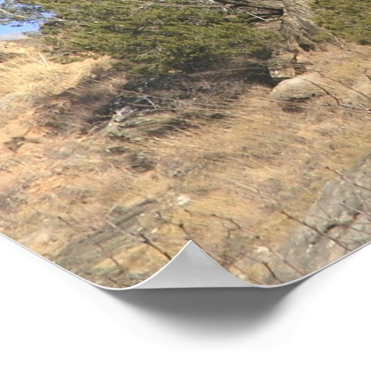 Gun Hammer Rock Poster (Ecke)