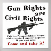 Gun Rights Poster (Vorne)
