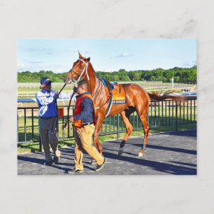 Gun Runner Postkarte