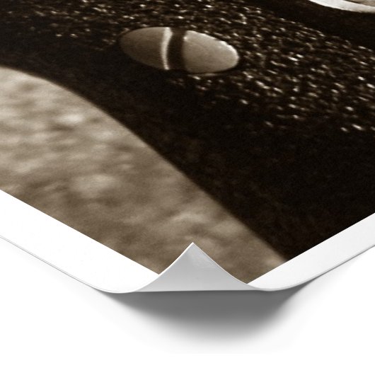 Gun Series Poster (Ecke)