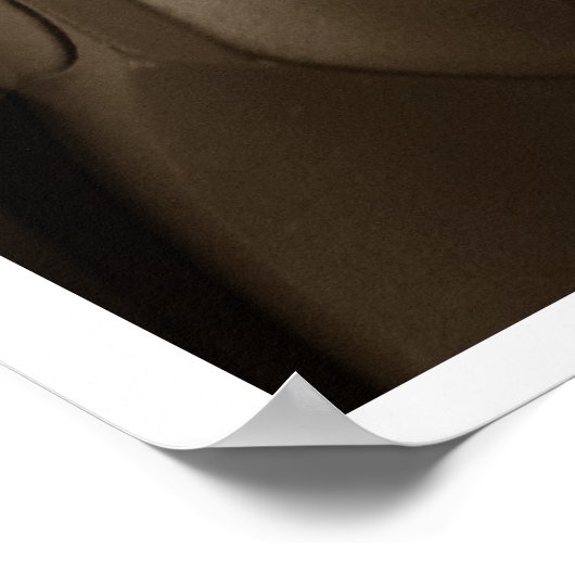 Gun Series Poster (Ecke)