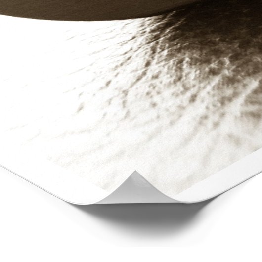 Gun Series Poster (Ecke)