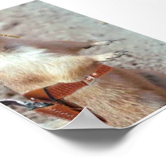 Gun Slinger Squirrel Poster (Ecke)