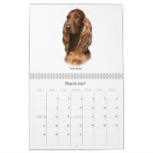 Gundog Zucht Kalender (Mär 2027)