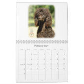 Gundog Zucht Kalender (Feb 2027)