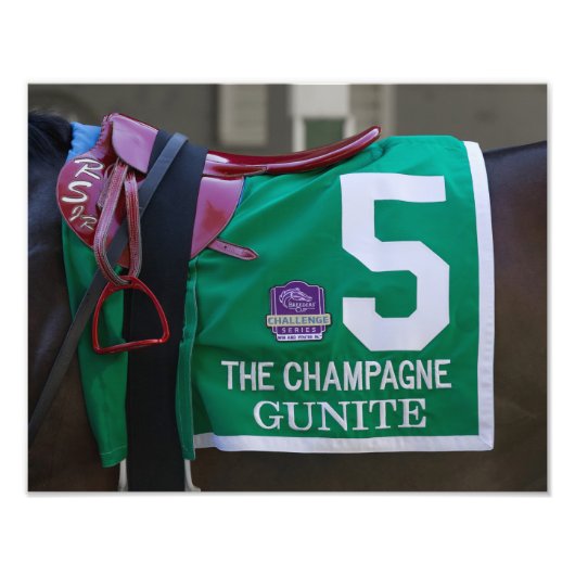 Gunite Saddlecloth Foto Print (Vorne)