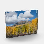 Gunnison National Forest, Colorado Fotoblock (Links)