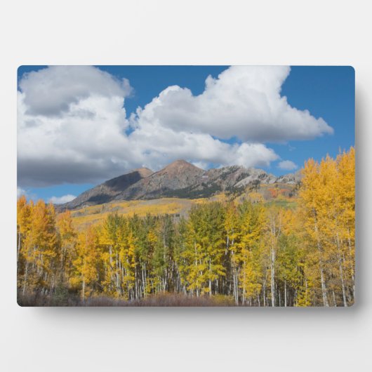 Gunnison National Forest, Colorado Fotoplatte (Vorderseite)