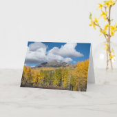 Gunnison National Forest, Colorado Karte (Gelbe Blume)