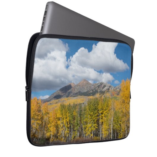 Gunnison National Forest, Colorado Laptopschutzhülle (Vorne Rechts)