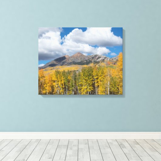 Gunnison National Forest, Colorado Leinwanddruck (Insitu (Holzboden))