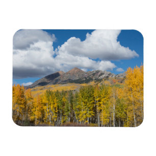 Gunnison National Forest, Colorado Magnet