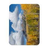 Gunnison National Forest, Colorado Magnet (Vertikal)