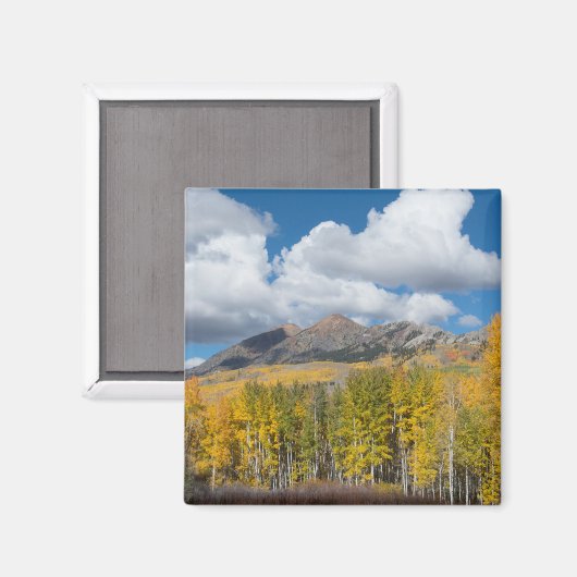 Gunnison National Forest, Colorado Magnet (Vorderseite/Rückseite)