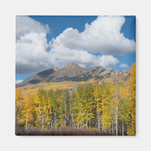 Gunnison National Forest, Colorado Magnet