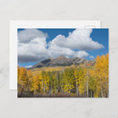 Gunnison National Forest, Colorado Postkarte (Vorne/Hinten)