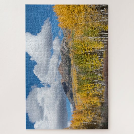 Gunnison National Forest, Colorado Puzzle (Vertikal)