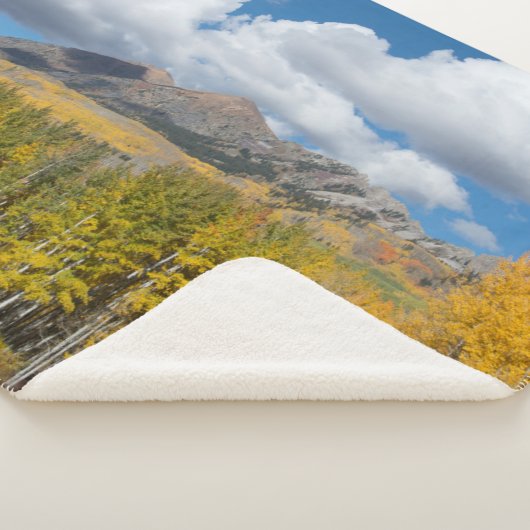 Gunnison National Forest, Colorado Sherpadecke (3/4)