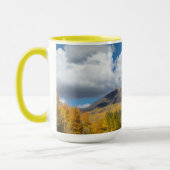 Gunnison National Forest, Colorado Tasse (Links)