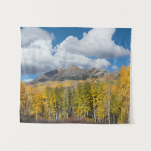 Gunnison National Forest, Colorado Wandteppich