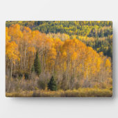 Gunnison National Forest Fotoplatte (Vorderseite)