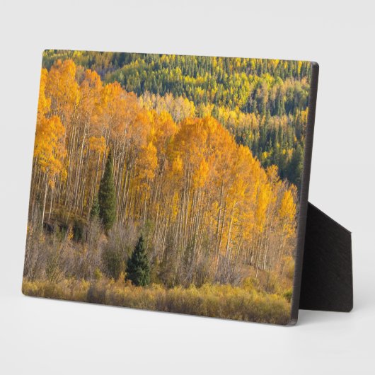 Gunnison National Forest Fotoplatte (Seite)