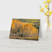 Gunnison National Forest Karte (Gelbe Blume)