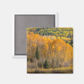 Gunnison National Forest Magnet (Vorderseite/Rückseite)