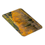 Gunnison National Forest Magnet (Rechte Seite)