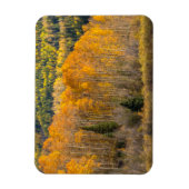 Gunnison National Forest Magnet (Vertikal)