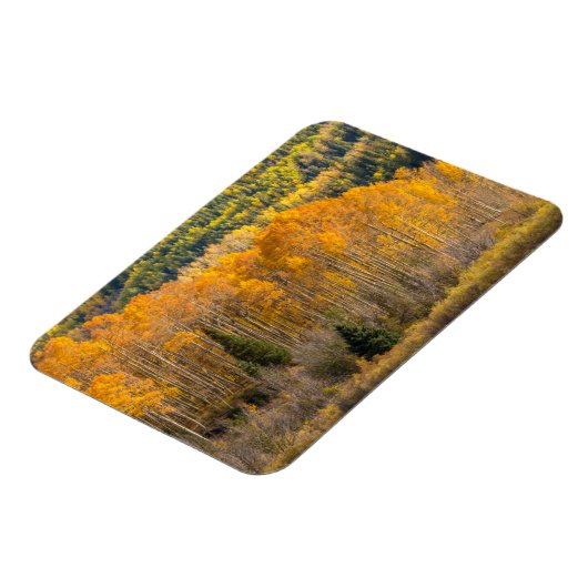 Gunnison National Forest Magnet (Linke Seite)