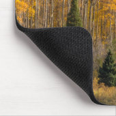 Gunnison National Forest Mousepad (Ecke)