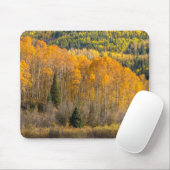Gunnison National Forest Mousepad (Mit Mouse)