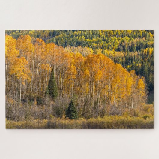 Gunnison National Forest Puzzle (Horizontal)