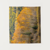 Gunnison National Forest Wandteppich (Vorderseite)